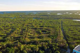 5300 S Atlantic Ave, New Smyrna Beach, FL 32169 - Photo 37