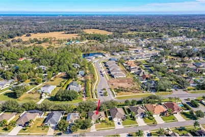 727 Grape Ivy Lane, New Smyrna Beach, FL 32168 - Photo 41