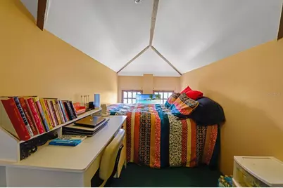 347 E 3rd Avenue, Mount Dora, FL 32757 - Photo 87