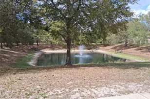 2763 Lighthouse Cove Rd, Orange City, FL 32763 - Photo 15