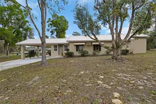 4611 Grand Ave, De Leon Springs, FL 32130 - Photo 3