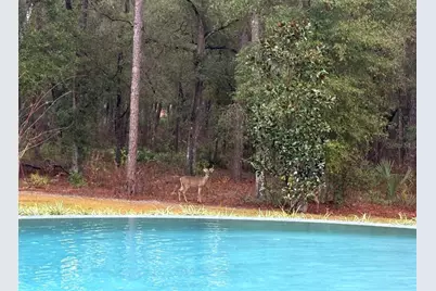 1985 Fatio Road, Deland, FL 32720 - Photo 65