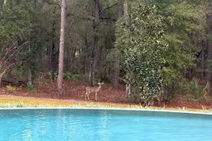 1985 Fatio Rd, Deland, FL 32720 - Photo 65