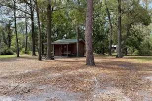 8587 SW Elim Church Rd, Fort White, FL 32038 - Photo 5