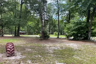 8587 SW Elim Church Rd, Fort White, FL 32038 - Photo 17