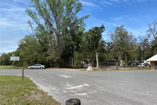 8587 SW Elim Church Rd, Fort White, FL 32038 - Photo 15