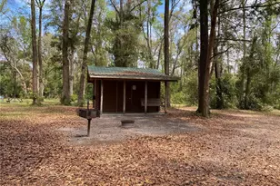 8587 SW Elim Church Rd, Fort White, FL 32038 - Photo 9