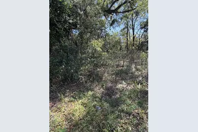 110 E Mercers Fernery Road, Deland, FL 32724 - Photo 3