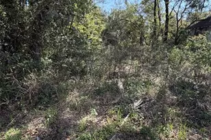 110 E Mercers Fernery Rd, Deland, FL 32724 - Photo 1