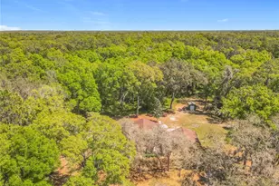 4525 Audubon Ave, De Leon Springs, FL 32130 - Photo 3