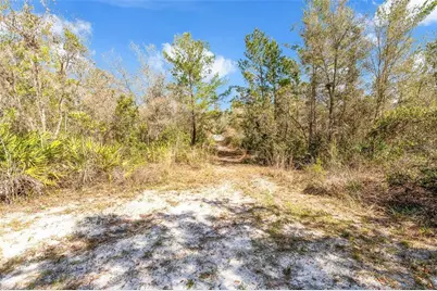326 Enterprise Osteen Road, Osteen, FL 32764 - Photo 31