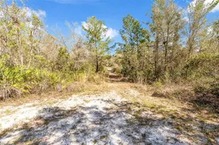 326 Enterprise Osteen Rd, Osteen, FL 32764 - Photo 31