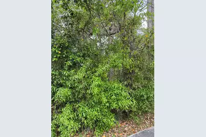 253 E Highbanks Road, Debary, FL 32713 - Photo 1