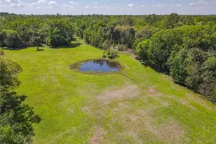 1501 Ashby Creek Rd, Osteen, FL 32764 - Photo 39