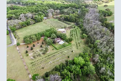 3466 Cross Branch Road, Deland, FL 32724 - Photo 39