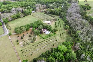 3466 Cross Branch Rd, Deland, FL 32724 - Photo 39