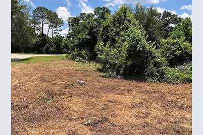 257 Lake Lane, Debary, FL 32713 - Photo 3