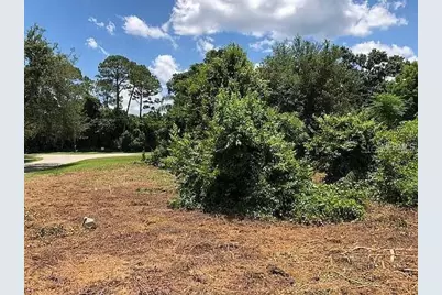 257 Lake Lane, Debary, FL 32713 - Photo 11