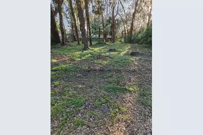 2214 Needle Palm Drive, Edgewater, FL 32141 - Photo 3