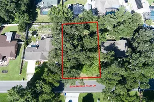 2214 Needle Palm Dr, Edgewater, FL 32141 - Photo 1