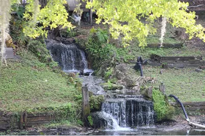 226 Crooked Tree Trail, Deland, FL 32724 - Photo 43