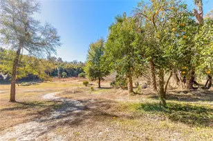 2090 & 2095 Stone Rd, Deland, FL 32720 - Photo 59