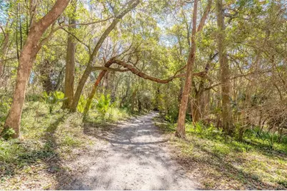 2090 & 2095 Stone Road, Deland, FL 32720 - Photo 53