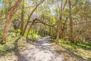 2090 & 2095 Stone Rd, Deland, FL 32720 - Photo 53