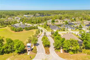 1855 Cattle Creek Ln, Port Orange, FL 32128 - Photo 47