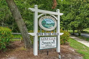 118 Birchmont Dr, Deland, FL 32724 - Photo 45