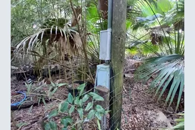 6104 NW 268th Terrace, Newberry, FL 32669 - Photo 3