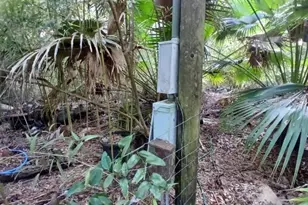 6104 NW 268th Terrace, Newberry, FL 32669 - Photo 3