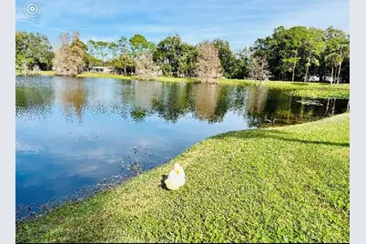 5345 Avon Court, Orlando, FL 32807 - Photo 43