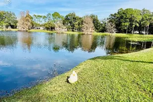 5345 Avon Ct, Orlando, FL 32807 - Photo 43