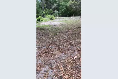 18625 NE 238th Terrace, Fort Mc Coy, FL 32134 - Photo 11