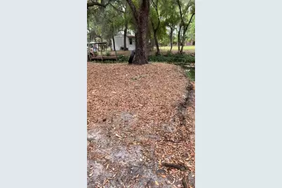18625 NE 238th Terrace, Fort Mc Coy, FL 32134 - Photo 9