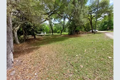 18625 NE 238th Terrace, Fort Mc Coy, FL 32134 - Photo 3