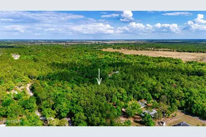 0 SW 57th Place, Dunnellon, FL 34431 - Photo 5