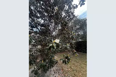 5632 Mariwood Drive, Orlando, FL 32810 - Photo 25