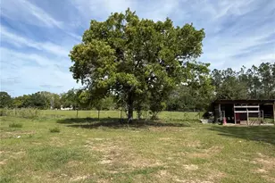 11090 SE 165th Terrace Rd, Ocklawaha, FL 32179 - Photo 27
