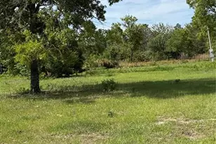 11090 SE 165th Terrace Rd, Ocklawaha, FL 32179 - Photo 29