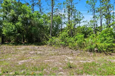 711 Wellington Avenue, Lehigh Acres, FL 33972 - Photo 3