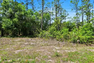 711 Wellington Ave, Lehigh Acres, FL 33972 - Photo 3