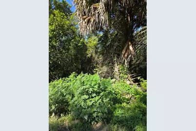 226 Walnut Avenue, Orange City, FL 32763 - Photo 5