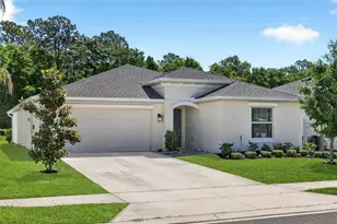 1018 Peach Crk Dr, Osteen, FL 32764 - Photo 51