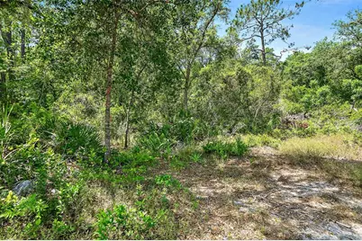 1370 Buckles Road, Pierson, FL 32180 - Photo 47