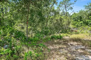 1370 Buckles Rd, Pierson, FL 32180 - Photo 47
