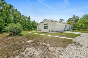 1370 Buckles Rd, Pierson, FL 32180 - Photo 45