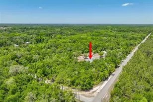 1370 Buckles Rd, Pierson, FL 32180 - Photo 53
