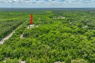 1370 Buckles Rd, Pierson, FL 32180 - Photo 55